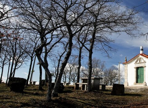 T09 01   6   2   medium  1 480 350