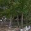Thumb parque merendas avelanoso 1 100 100