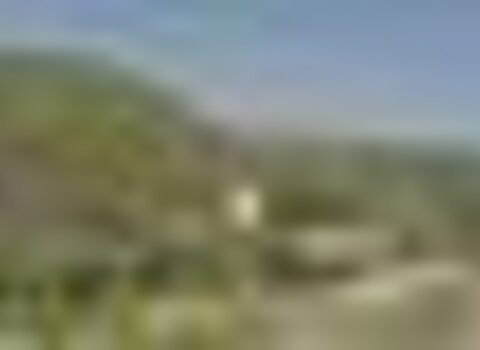 Tiny thumb pmerendas pinelo 1 480 350