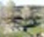 Tiny thumb t04 04   3   medium  1 150 125