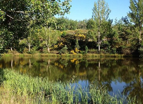 P merendas vilar seco 1 480 350