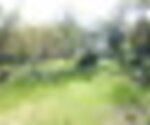 Tiny thumb t03 04   37  1 150 125
