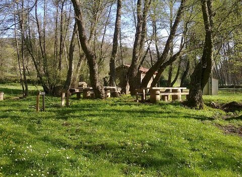 Pmerendas fermentaos 1 480 350