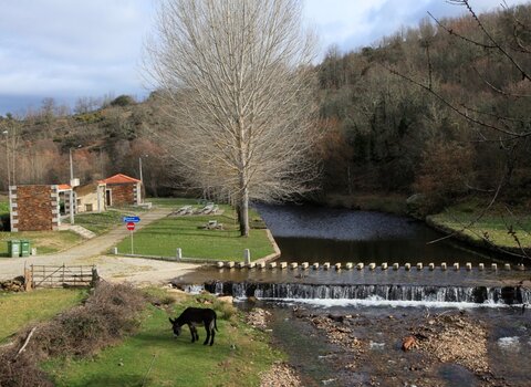 T02 02   1   medium  1 480 350