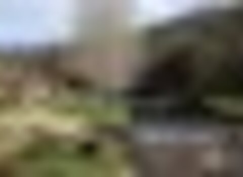 Tiny thumb t02 02   1   medium  1 480 350