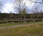 P merendas s comba de rossas 1 150 125