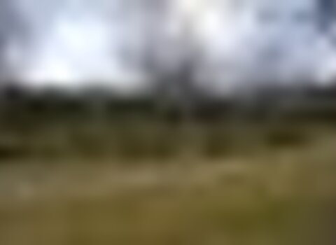 Tiny thumb p merendas s comba de rossas 1 480 350