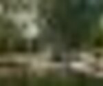 Tiny thumb rossas 1 150 125