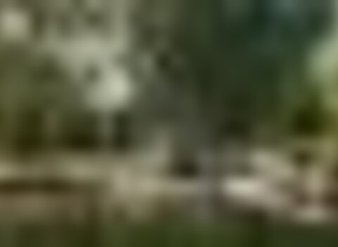 Tiny thumb rossas 1 480 350