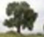 Tiny thumb pmerendas agrochao  medium  1 150 125