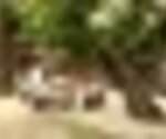Tiny thumb imagem 232  medium  1 150 125