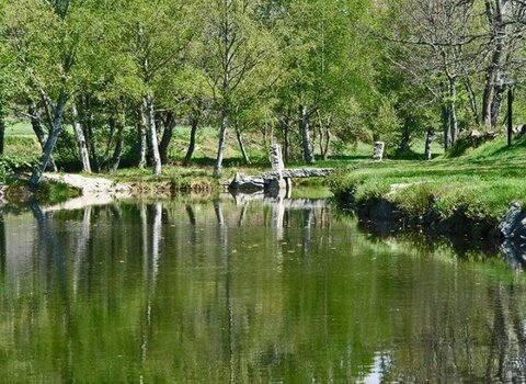 10426705 595983137176404 5795542218941504098 n 1 480 350