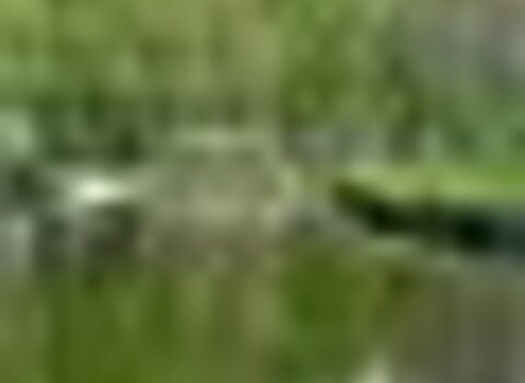 Tiny thumb 10426705 595983137176404 5795542218941504098 n 1 480 350