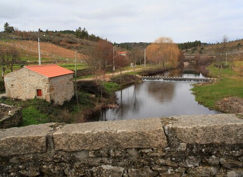 T01 09   11   medium  1 480 350