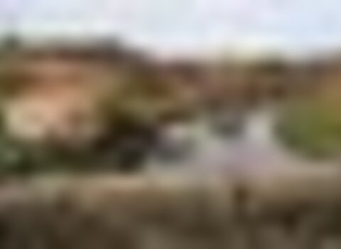 Tiny thumb t01 09   11   medium  1 480 350