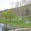 Thumb serapicos 2  medium  1 100 100