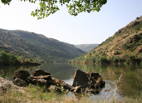 Cais fluvial de peredo de bemposta  medium  1 480 350