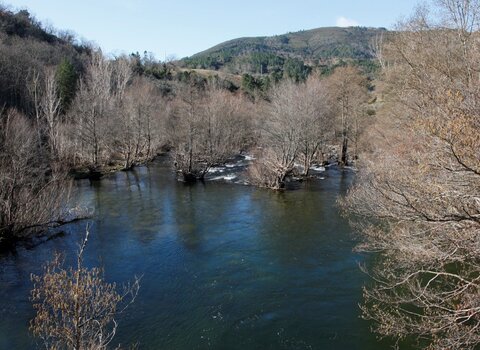 T08 05   11   medium  1 480 350