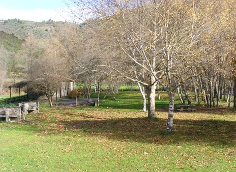 T09 04   5   medium  1 480 350