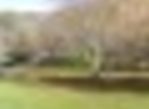 Tiny thumb t09 04   5   medium  1 480 350