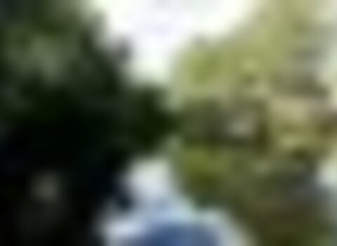 Tiny thumb principal 1 480 350