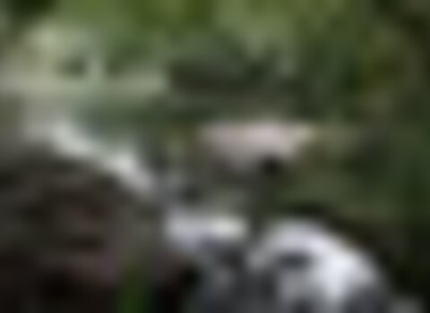 Tiny thumb n16 9301 1 480 350