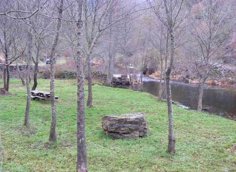 T09 09   43   medium  1 480 350