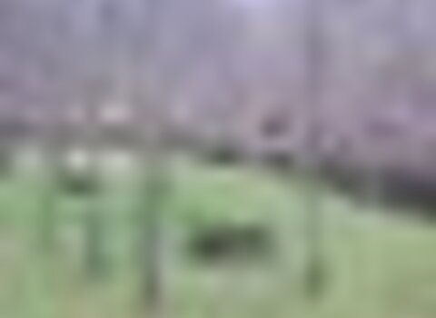 Tiny thumb t09 09   43   medium  1 480 350