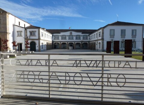 T05 01   21   medium  1 480 350