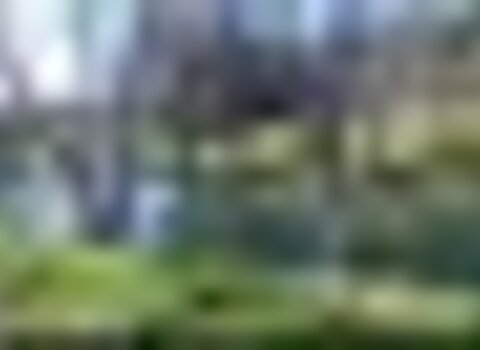 Tiny thumb riosabor 1 480 350