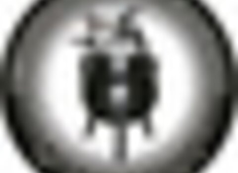 Tiny thumb javali negativo rgb r 1000px 1 480 350