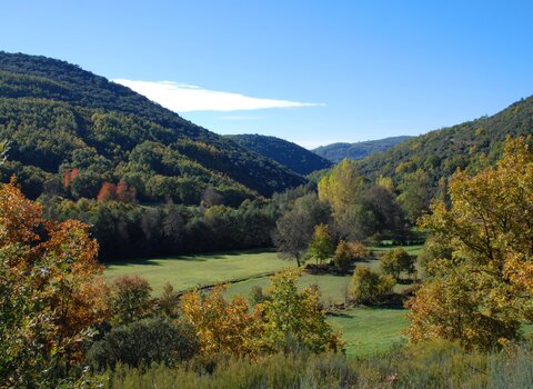 Paisagem baceiro 1 480 350