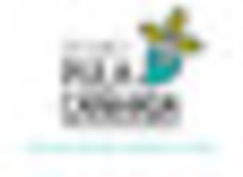 Tiny thumb af dpc marca 2 1 480 350