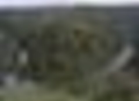 Tiny thumb frauga 1 480 350