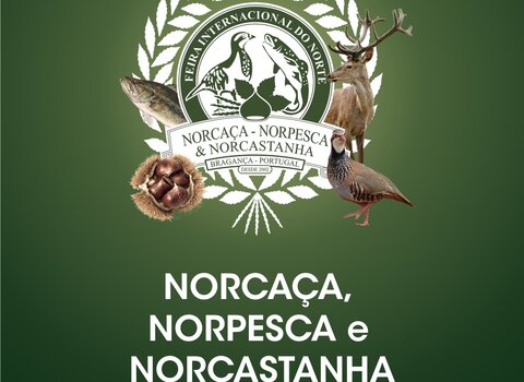 Norca a bragan a 1 480 350