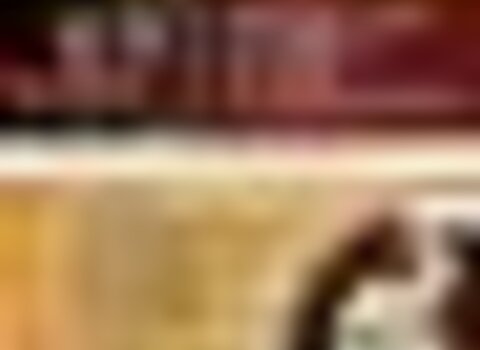 Tiny thumb festa da cabra e do canhoto cid es vinhais 1 480 350