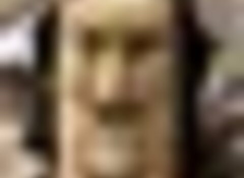 Tiny thumb dsc 2268  medium  1 480 350