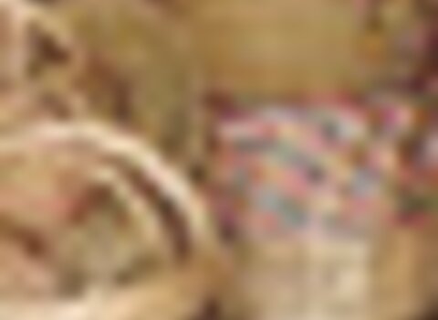 Tiny thumb cestaria 1 480 350