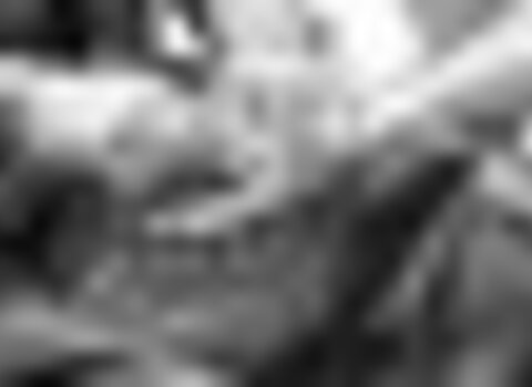 Tiny thumb trabalho de escrinheira 1 480 350