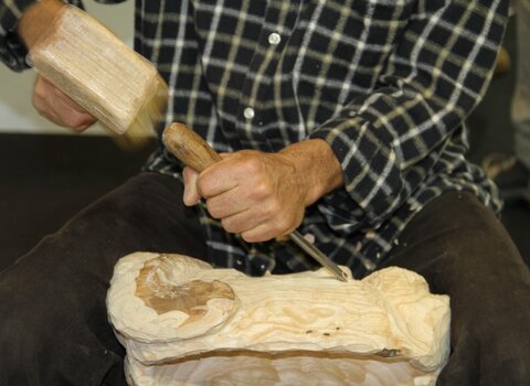 Img 4119  medium  1 480 350