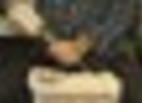 Tiny thumb img 4119  medium  1 480 350