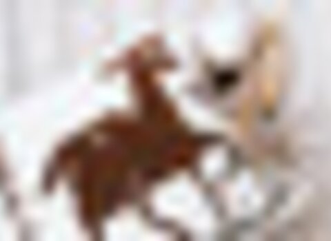 Tiny thumb artes os l  tear 13 1 480 350