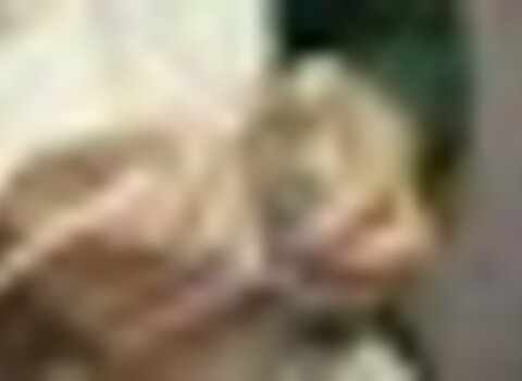 Tiny thumb img 4093  medium  1 480 350