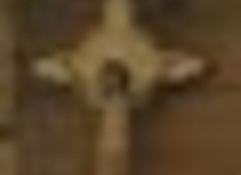 Tiny thumb dsc 2272  medium  1 480 350