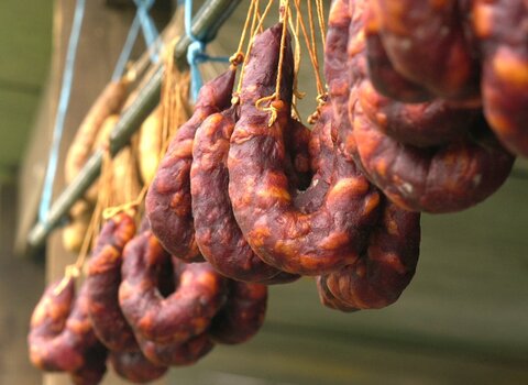 Dsc 2280  medium  1 480 350