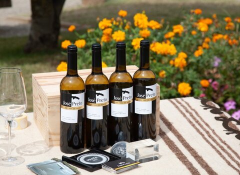 Algoso 56 medium 1 480 350