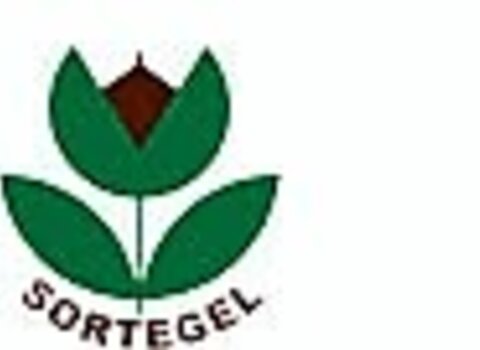 Rodape2 18 1 480 350