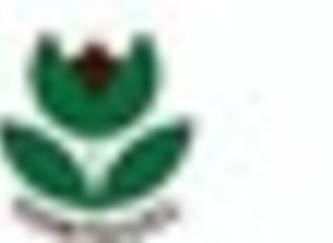 Tiny thumb rodape2 18 1 480 350