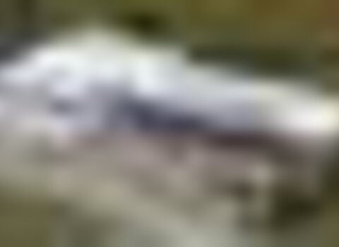 Tiny thumb fabrica processamento frutas 1 480 350