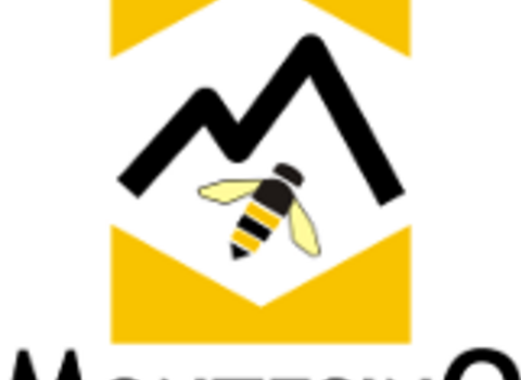 Site logo 1 480 350